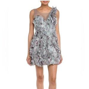 BCBGMaxAzria Eva Silk Tulle Organza Agate Combo Ruffle Illusion Dress 0